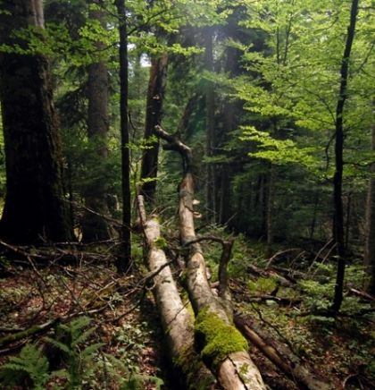 Sutjeska se vraća svojim gostima