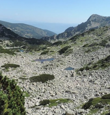 Bugarska vlada će uništiti Nacionalni park Pirin