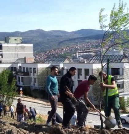 U okviru akcije Općine Centar zasađeno 50 novih stabala na Gorici