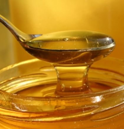 Bosnian honey in Japan