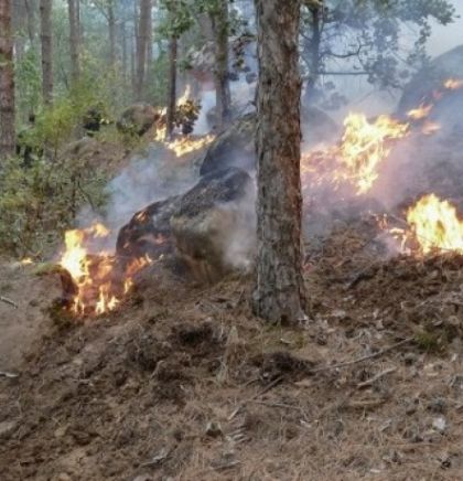 Požar u Kresnanskoj klisuri u Bugarskoj 'ekološka katastrofa'