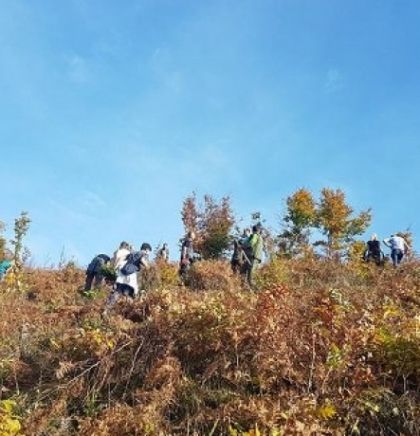 Radnici kompanije MS&WOOD i fojnički srednjo&scaron;kolci zasadili 5.500 sadnica &scaron;ume