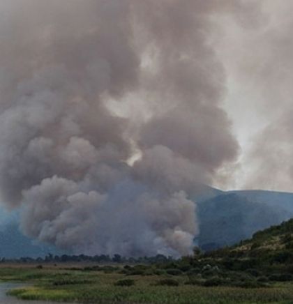 Šteta od požara na Hutovom blatu oko milijun maraka, ugrožen cijeli eko sustav