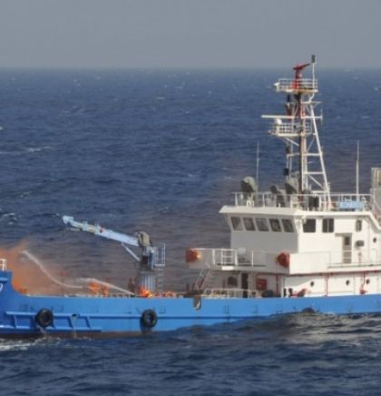 WWF protiv neprihvatljivog povećanja kvota za ulov tuna