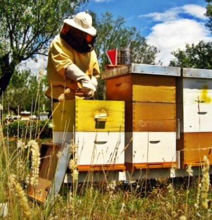 Treći međunarodni pčelarski sajam - Dani hercegovačkog meda