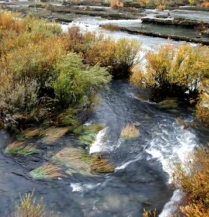 Mediji i ekolozi - Bh. rijeke zaštititi alternativnim izvorima energije