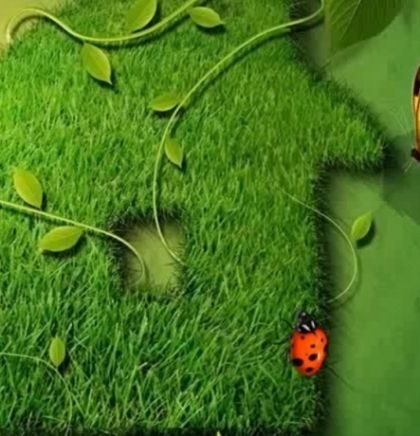 Započela realizacija projekta postavljanja prve "zelene fasade" u Centru