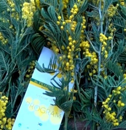 Hercegnovski 'Karavan mimoze' 25.januara u Banjoj Luci