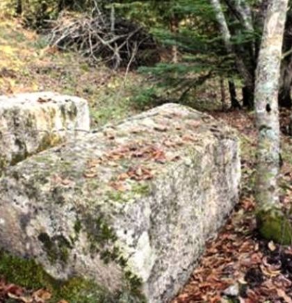 Oko hiljadu stećaka historijsko bogatstvo općine Srebrenica