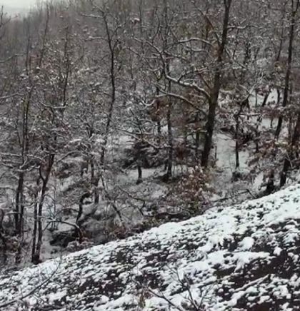 PKFBiH - &Scaron;ume su na&scaron;e opće i korisno dobro