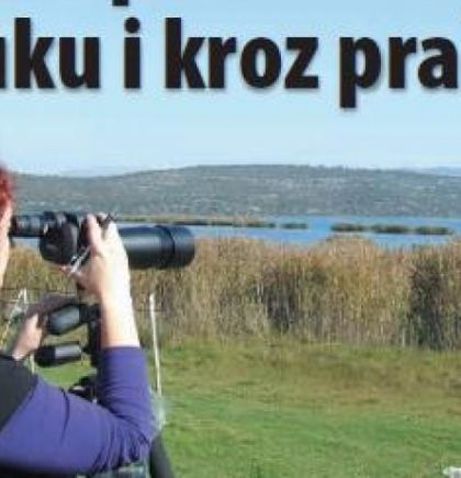 DRUGA PRIČA-Ornitološko društvo „Naše ptice“: 15 godina brige o pticama u BiH