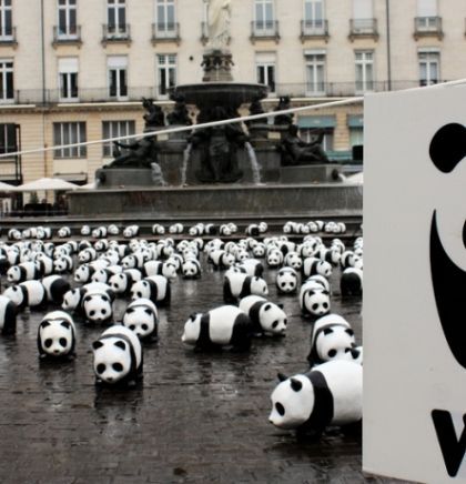 Iz WWF-a upozoravaju na važnost očuvanja parkova i zaštićenih područja