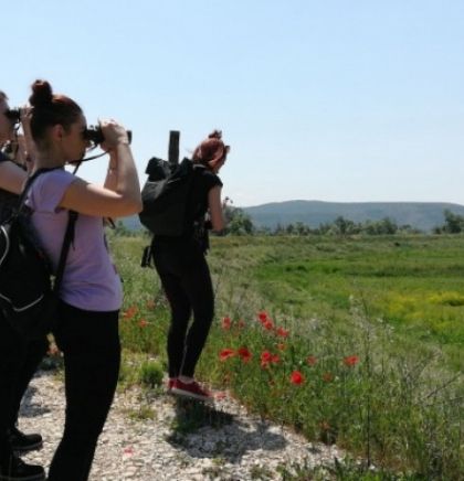 Sarajlić: U promoviranju promatranja ptica kao eko turizma šansa je za BiH