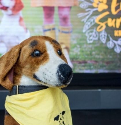Dogs Trust: Promocija odgovornog vlasništva pasa i udomljavanja