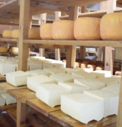 Smajić: Tešanjski zlatni sir sazrijeva 15 mjeseci, kupci znaju da vrijedi čekati