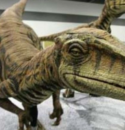 Pronađeni fosili nove vrste dinosaurusa
