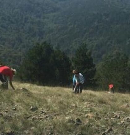 'Branje trave ive na Ozrenu' upisano na listu UNESCO-a
