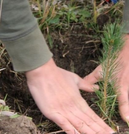 Mališani u akciji pošumljavanja 'Helen Doron English' zasadili 600 sadnica