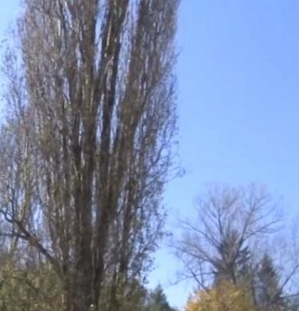 Prognoza vremena za naredne dane