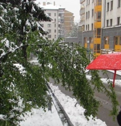 Prognoza vremena za naredne dane