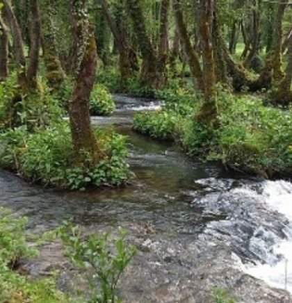 Ekolozi: Na sceni legalizacija male hidroelektrane Šipovo