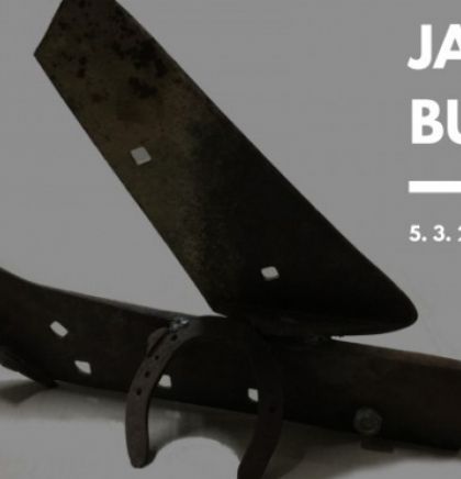 Umjetnička galerija BiH donosi izložbu skulptura i crteža Jagode Buić