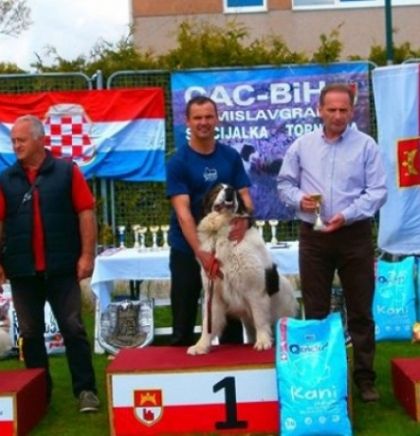 Pas 'Aga' pobjednik Specijalizirane izložbe tornjaka u Tomislavgradu