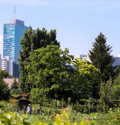 U Beču udio zelenih površina povećan za dva odsto za deset godina