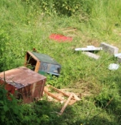 Medvjedica uništila košnice Stipe Lučiča iz Bugojna