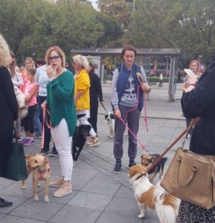U Banjoj Luci prvi javni događaj za vlasnike i ljubitelja pasa