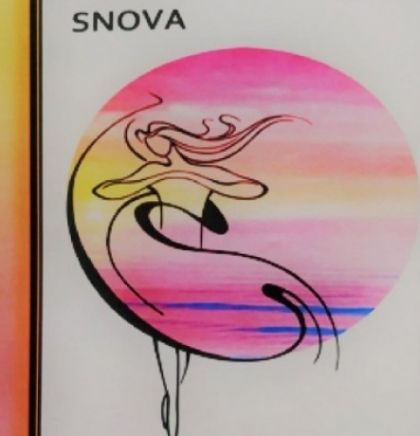 Promocija zbirke pjesama 'Snaga snova' Marije Smiljanić