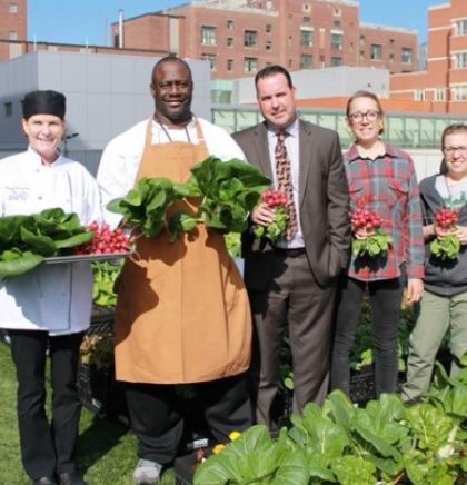 Bolnica na krovu osigurava 3000 kilograma organskog povrća godišnje za pacijente