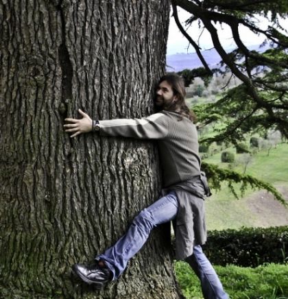 Island preporučuje grljenje stabala umjesto ljudi