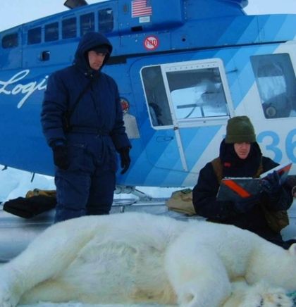 Polarni medvjed ubio čovjeka u norveškom arktičkom arhipelagu Svalbard