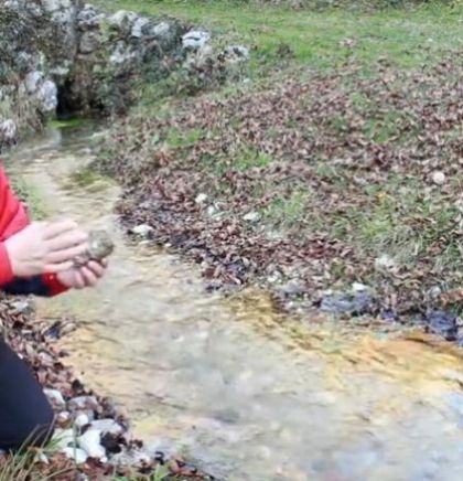 (VIDEO) Prof.dr. Jasminko Mulaomerović o istraživanjima endemskih vrsta vodenih puževa u BiH
