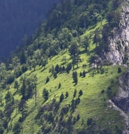 WWF Adria: Za skladnu budućnost potrebne su nam hitne mjere za ljude i prirodu