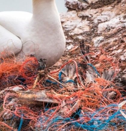 Za&scaron;titi okoli&scaron;,za&scaron;titi sebe: Zelene tehnologije za borbu protiv klimatskih promjena