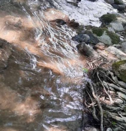 FUZIP - Na rijeci Trešanici nisu uočene naftne mrlje i pomor ribe
