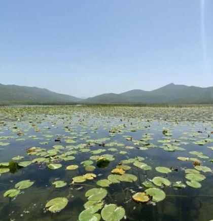 WWF Adria: Očuvanje i obnova vlažnih stani&scaron;ta pitanje je očuvanja života na planeti