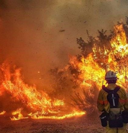 UN: Svijet se mora pripremiti za još ekstremnije šumske požare