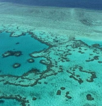 Australski Veliki koraljni greben 'blijedi' zbog klimatskih promjena