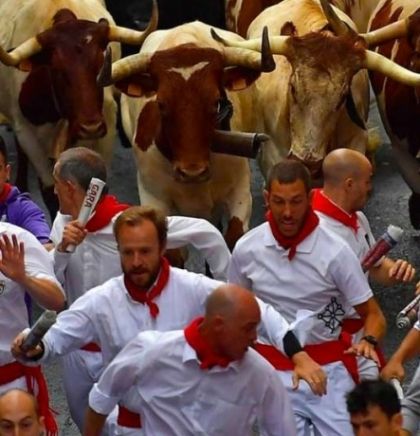 Utrke s bikovima u Pamploni se ponovo održavaju 