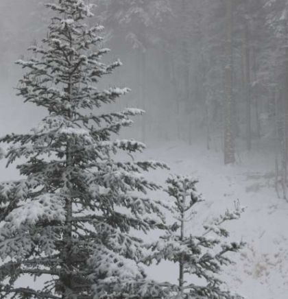 Zimska romansa uz sniježne pahulje na olimpijskim planinama Igmanu i Bjelašnici