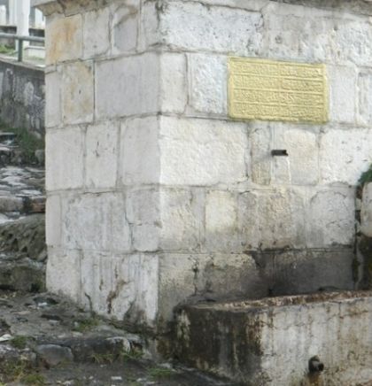 Sarajevske česme:  Alifakovački čudni češmetaš