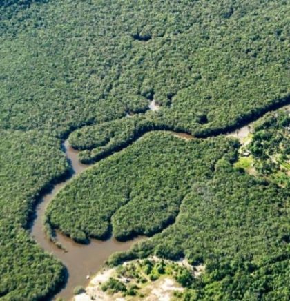 U 2022. izgubljene tropske prašume veličine Švicarske