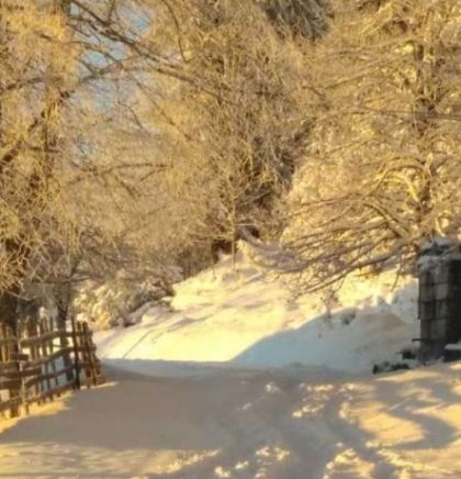 Zimska idila na sarajevskom Ozrenu, u carstvu prirode