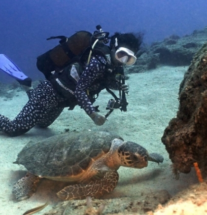 Pogledajte izbliza gnijezda morskih kornjača na truskoj rivijeri