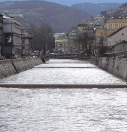 Zanimljiv prizor na Miljacki: Desetine mladih galebova &bdquo;Sarajlija&ldquo; na jednom mjestu