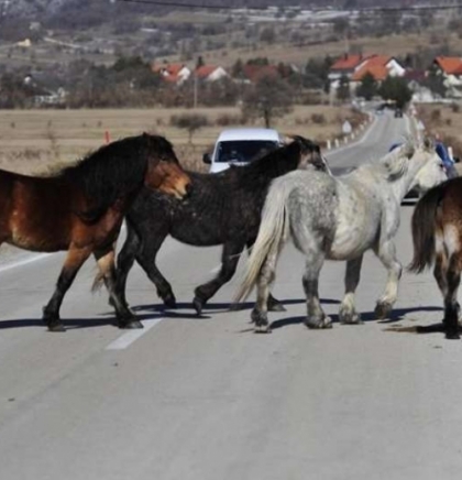 Livno jutros najhladnije sa 3 stepena, po kotlinama prijepodne magla, u ostalim dijelovima sunčano