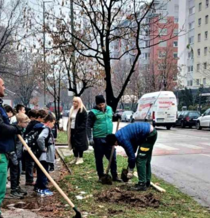 Akcija sadnje 100 sadnica u okviru projekta 'Drvo prijateljstva' počela u Tuzli